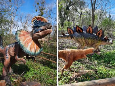 Ausflug Niederoesterreich Dumba Park Dinosaurier