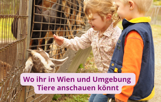 Streichelzoo Tiere Wien