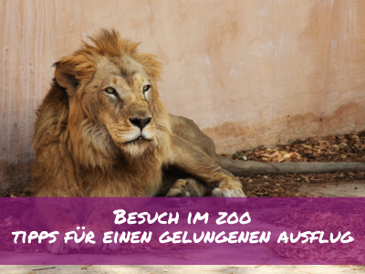 Zoo Besuch Baby Kinder