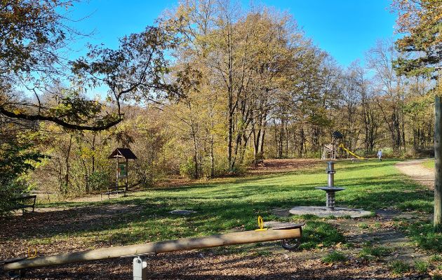 Herbst in Wien Maurer Wald