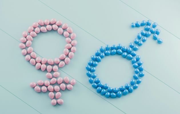 Gastbeitrag Gender Disappointment Geschlechtertypen