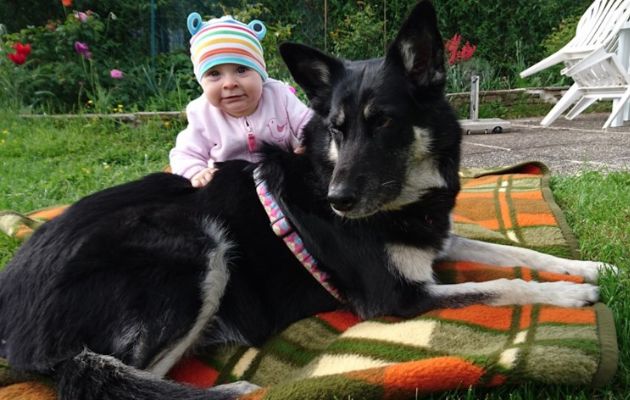 Gastbeitrag Kind Hund Begegnungsdecke