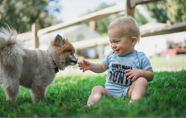 Gastbeitrag Kind Hund Empfehlungen
