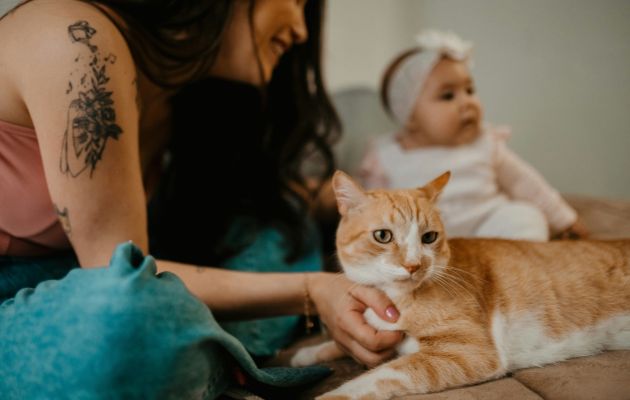 Tipps Schwangerschaft Baby Haustiere Hygiene